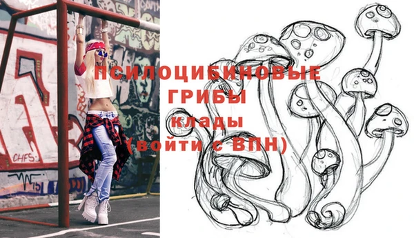 амф Арсеньев