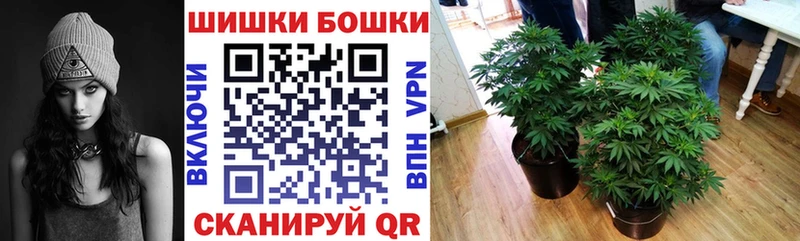 Бошки Шишки Amnesia Медногорск